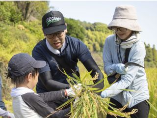 上手に刈ることができました!(写真は2025年の様子)