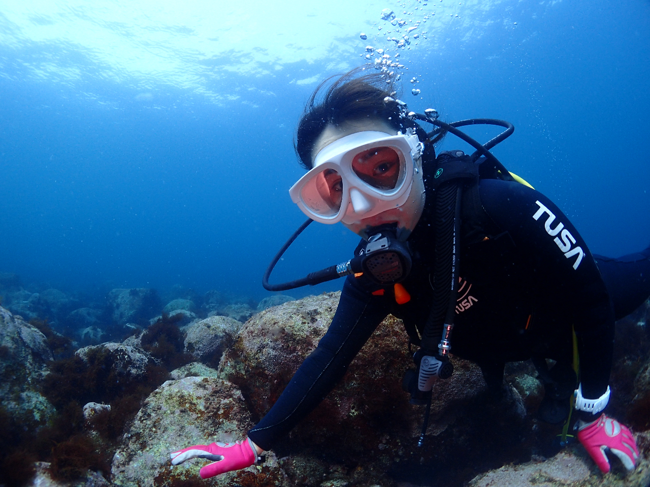 ނSĂpӒv܂Bgyłz܂B