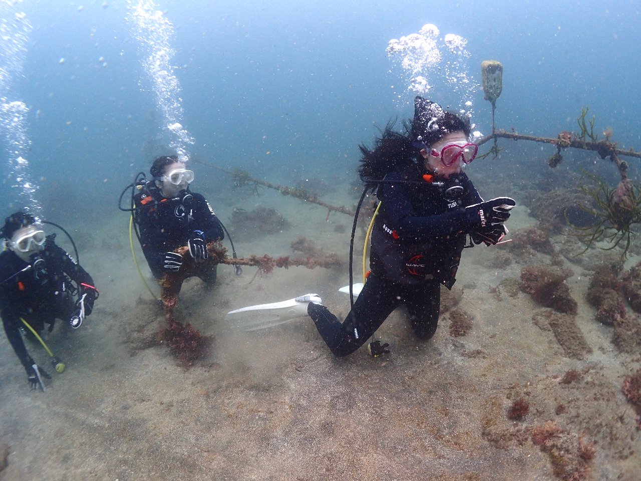 オープン・ウォーター＆オープン・ウォーター２ ２枚セット 認定ダイバー向け 3D2N PADI アドバンス オープン ウォーター