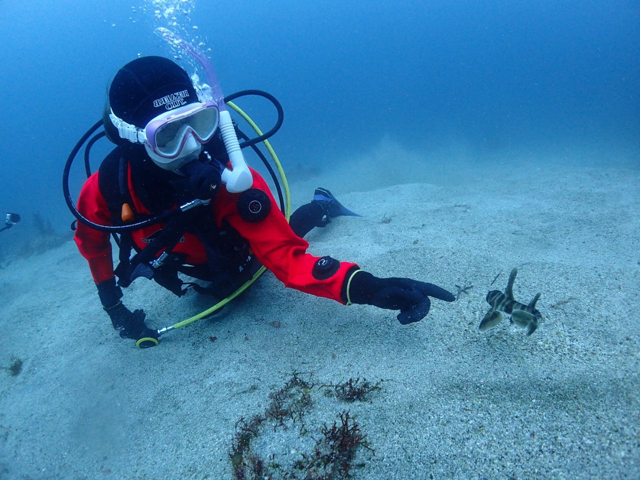 ߂ĂłȐɏo鐅EBȂǐ񃊃NGXgĂ݂ĂB