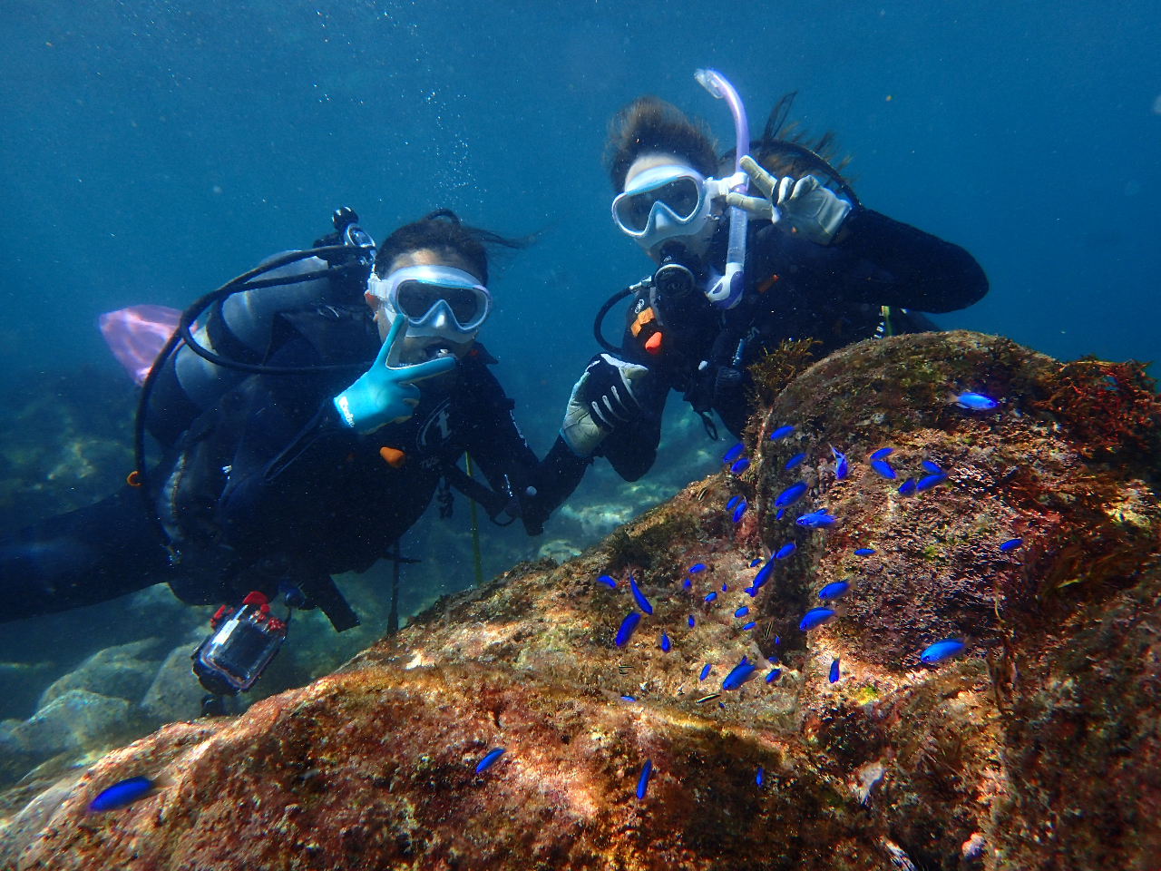 FBmł̂Q劽}łBō̎vo܂傤B