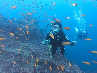 水中世界は本当に素晴らしいです。水深5mにも面白い世界が広がっています。