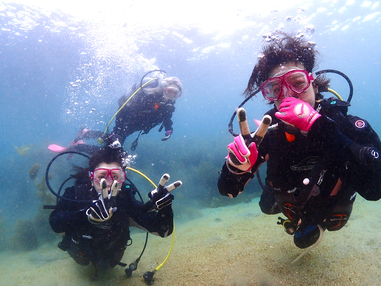 ~łhCX[cőŜG܂BNłANereBłB