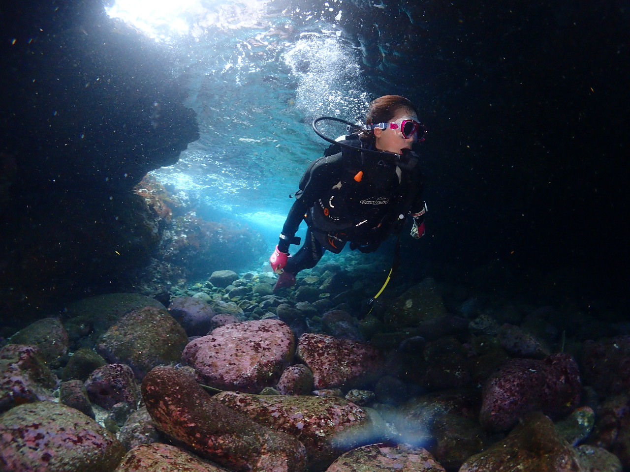 ނSĂpӒv܂Bgyłz܂B