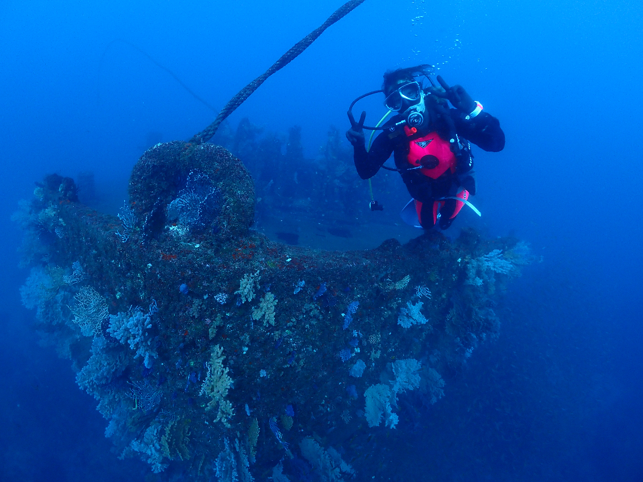 {ő勉̒vDPUB@ꌩ̉lłB