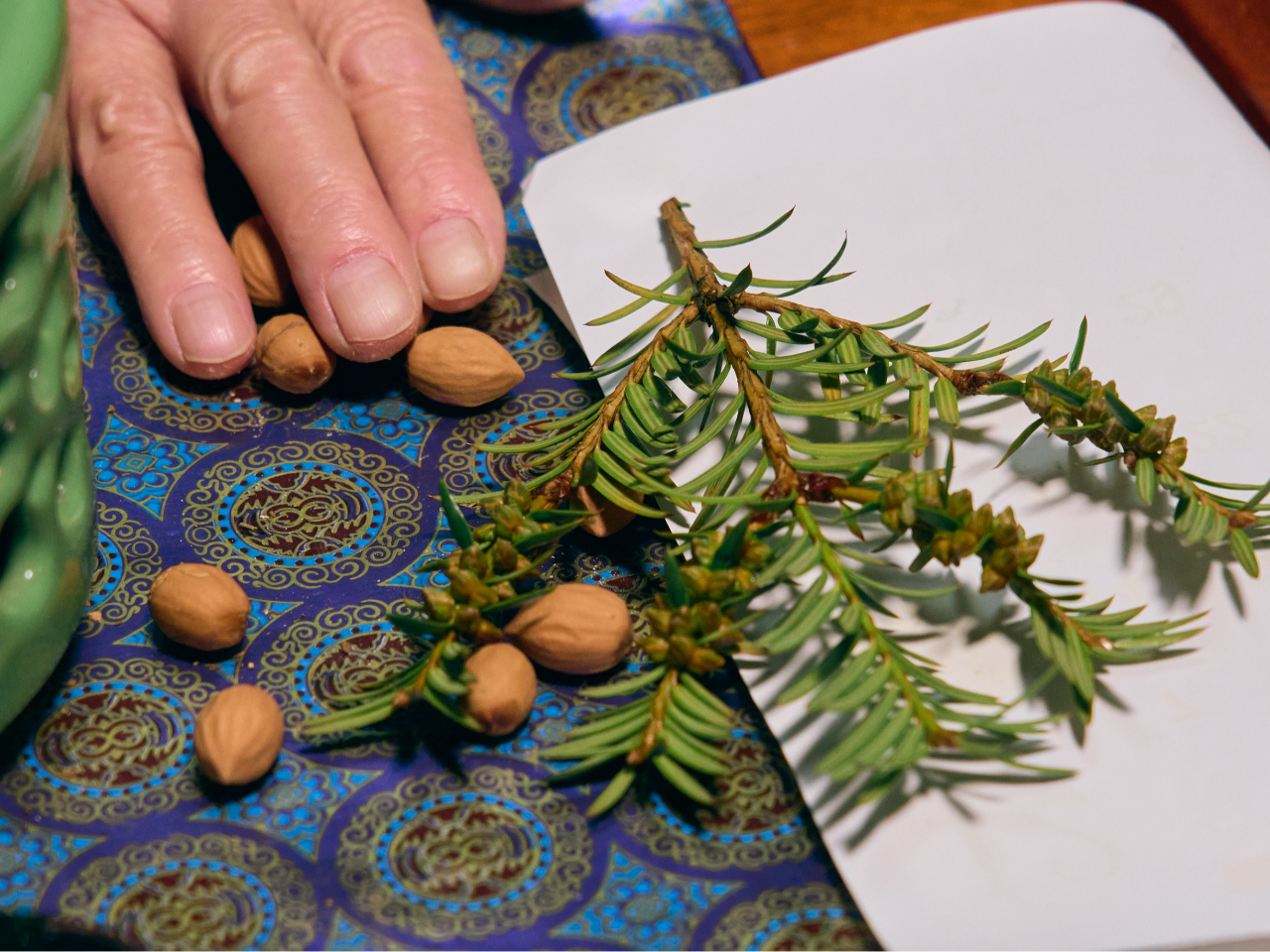 �z�㎵�s�v�c�h�Ȃ�����h