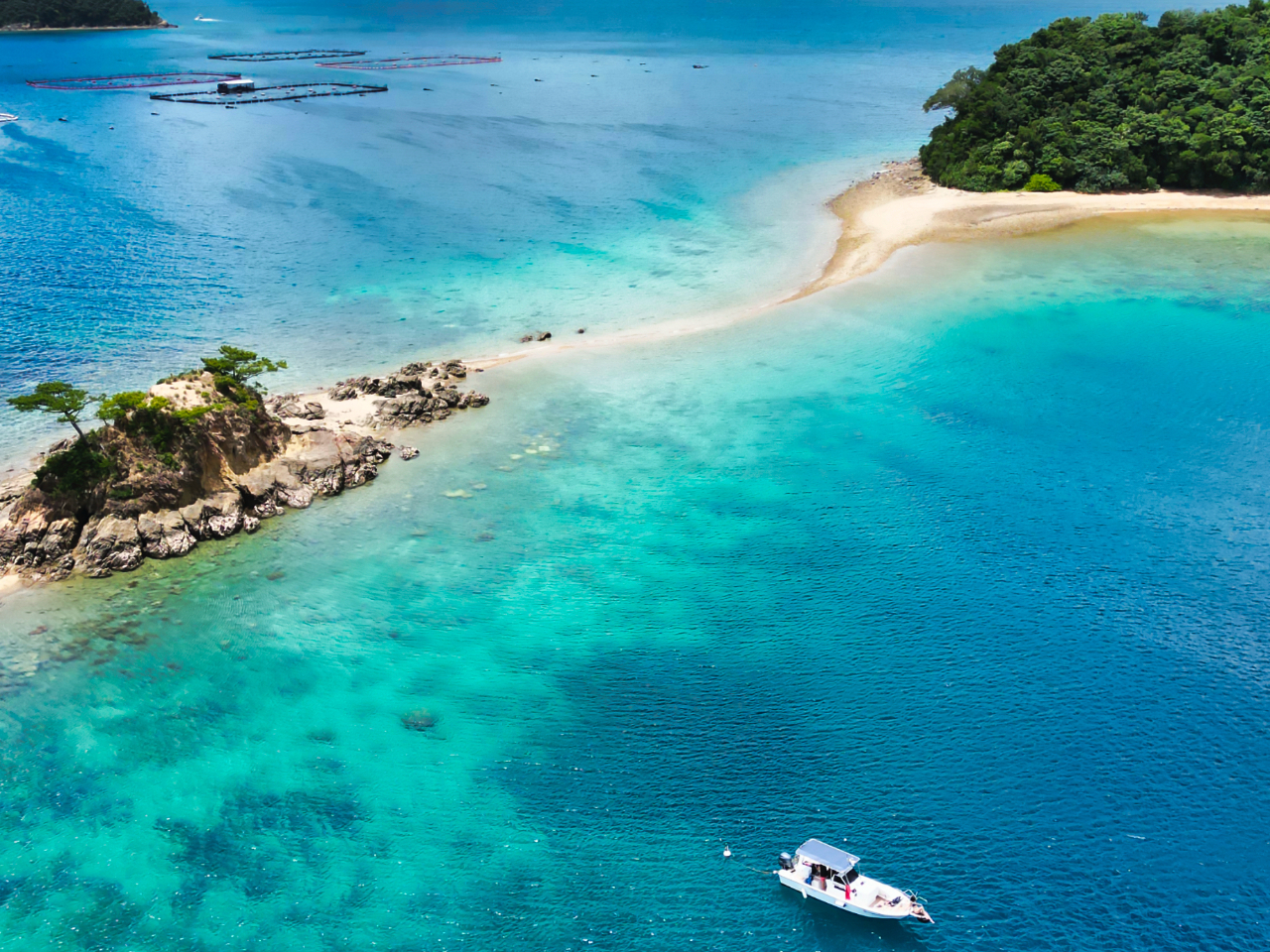 ＼非日常のマリンアドベンチャーを体験！／