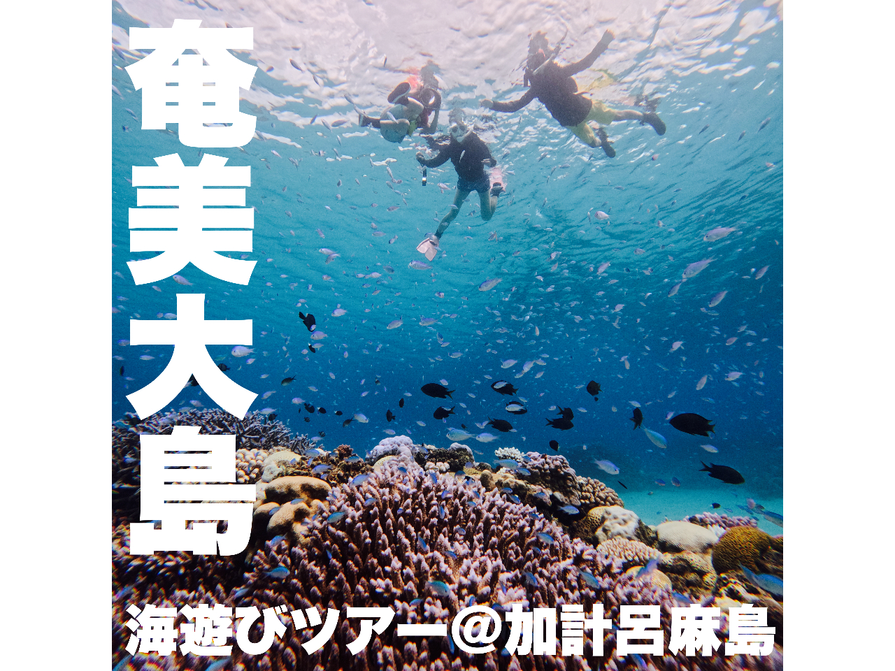 �_�����哇�Ȃ�ł͂̎�����̎��R�����\���悤�I�^