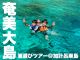 \奄美大島で一生の思い出をつくろう◎/