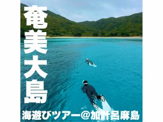 \シュノーケリングを中心に天候を踏まえてツアー内容をご提案いたします♪/