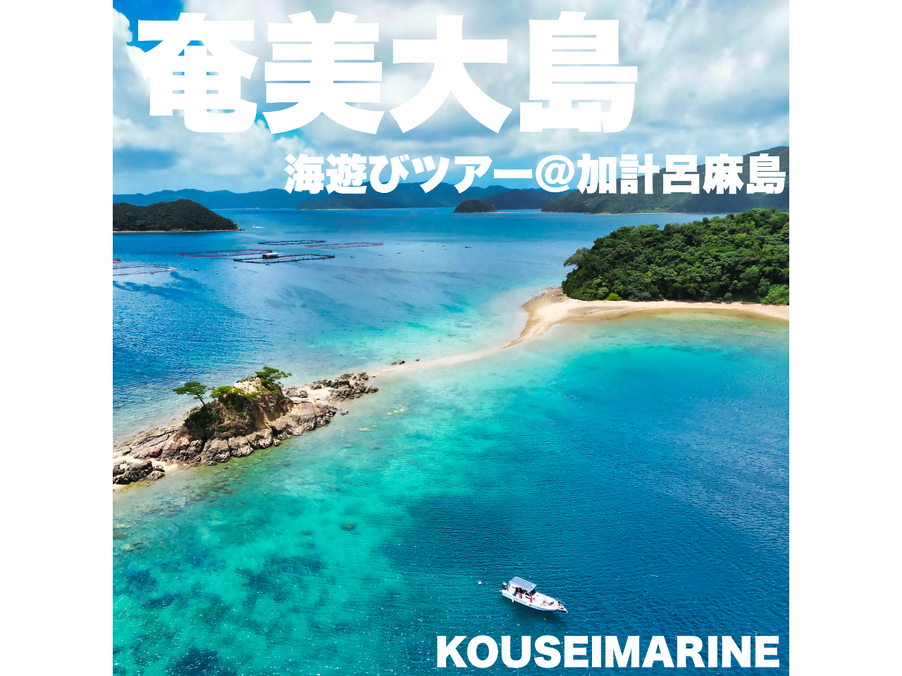 �_�����̃}�����A�h�x���`���[��̌��I�^