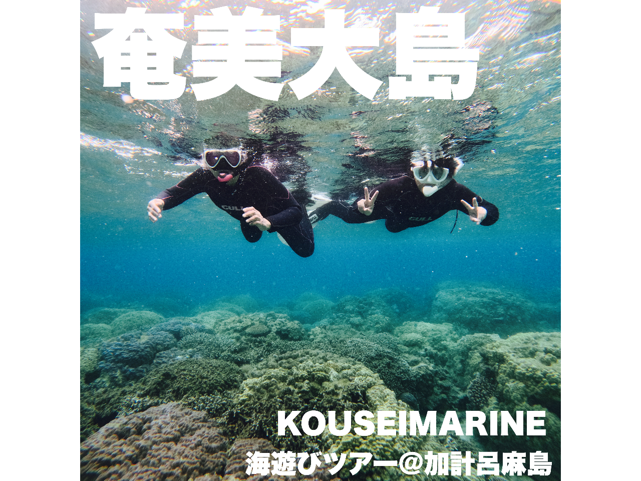 �_�����x���Q�́g�����u���[�h�̊C�ŕ����̃}�����A�N�e�B�r�e�B����x�Ɋy���߂��ґ�v������^