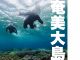 \透明度抜群の“奄美ブルー”の海でスキンダイビング体験♪/