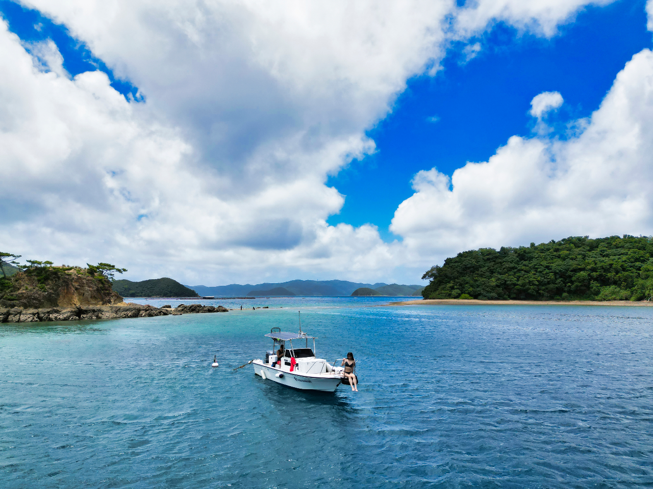 �_�����x���Q�́g�����u���[�h�̊C�ŃX�L���_�C�r���O���y��������^