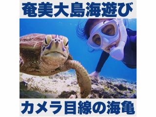 \水面に浮かぶシュノーケリングとは異なり、海中に深く潜り、ウミガメなどと接近できるのが特徴♪/