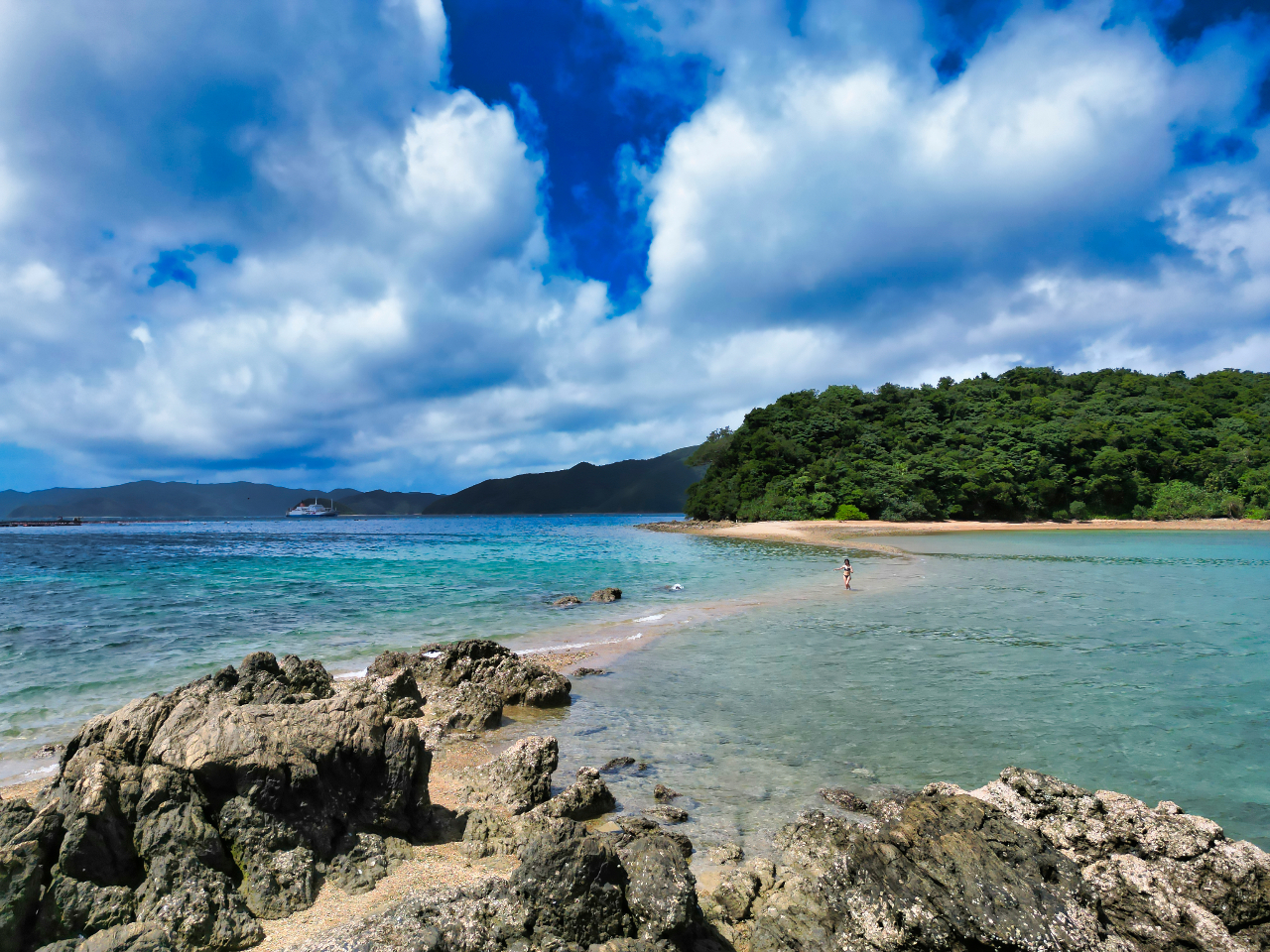 �_�����u���[�𖞋i����^