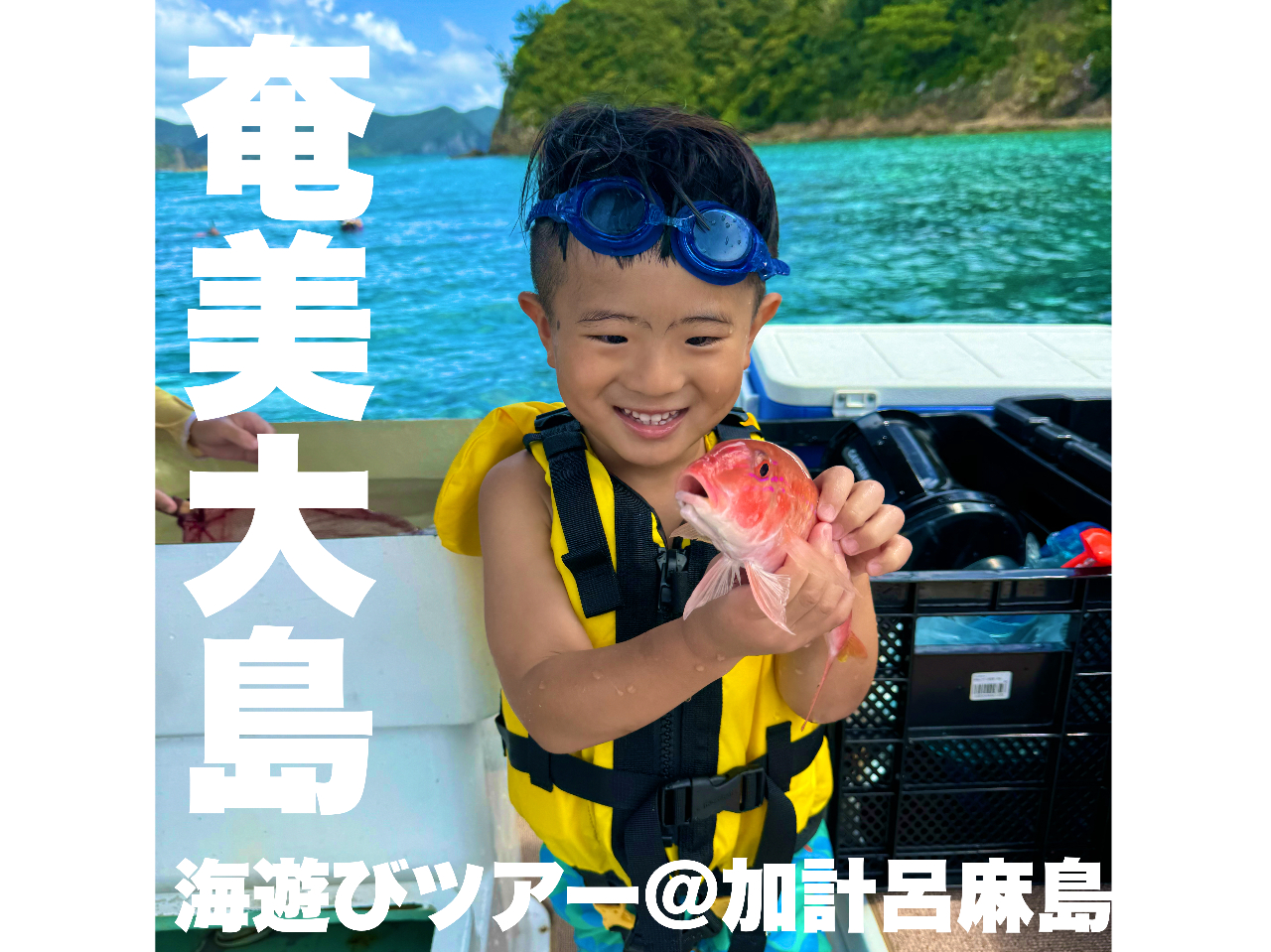 �_�C�V�т��ނ�������y���݂����~����ȕ��ɂ������߁I�^