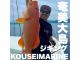 \クーラーボックスや氷の持参は不要!KOUSEIMARINEにてご用意しております♪/