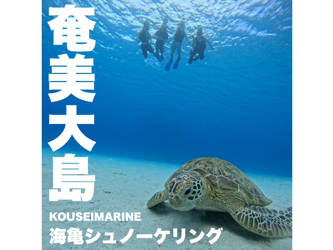 �_�V���m�[�P�����O�𒆐S�ɓV��𓥂܂��ăc�A�[���e������Ă������܂���^