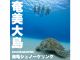 \シュノーケリングを中心に天候を踏まえてツアー内容をご提案いたします♪/