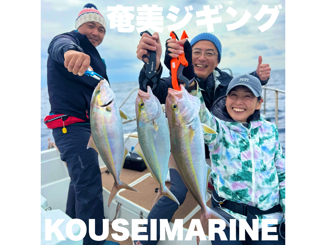 �_�����哇�̋ɏ�t�B�[���h�ŁA�Y����Ȃ���C�ɏo��I�^