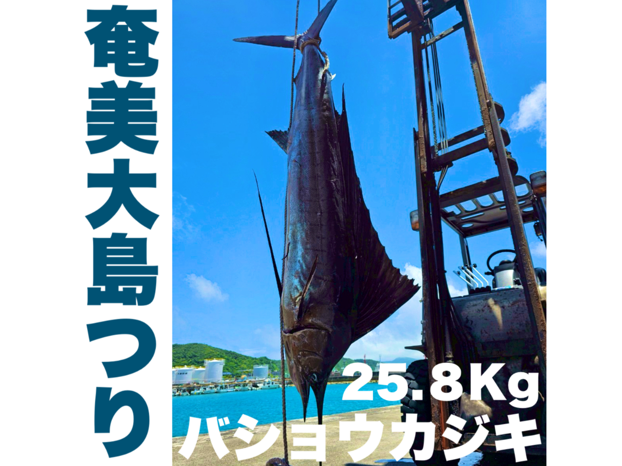 �_�o�V���E�J�W�L�@25.8�s�^�ނ��C�͂����ɂ���I�I