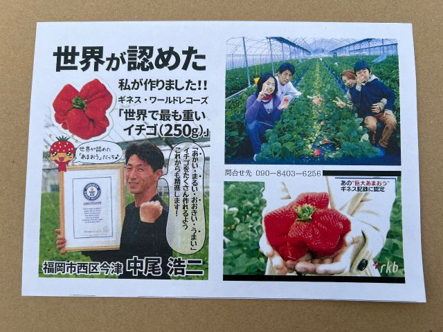 ギネス「世界で最も重たいイチゴ」を認定された農園です!!大きくてうまいいちごあります♪
