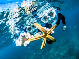 水中には沢山の生物!!