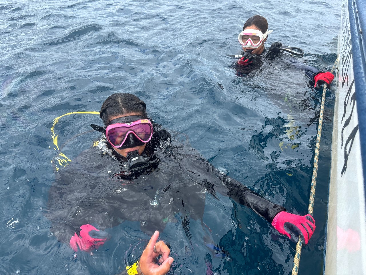 ߂͐󂢂Ƃ납KIIĂ琅Eց