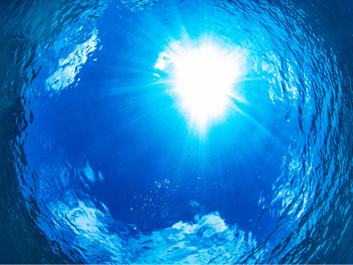 猩グ鑾zII RɐZ񌻎̂悤ȐE