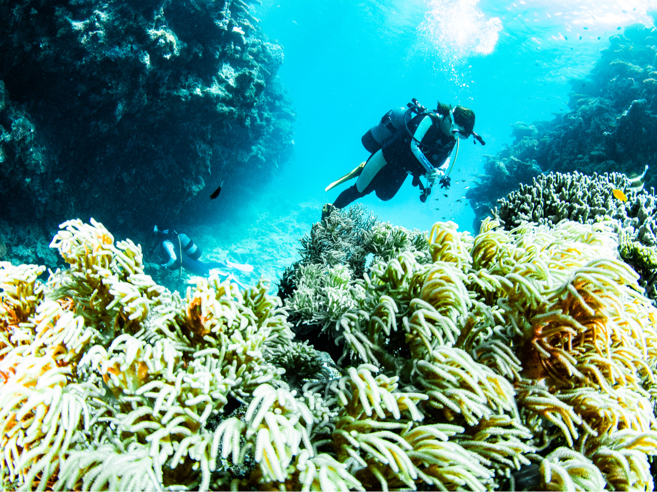 S҂̕AvԂ̕SĂQIT|[gv܂OO