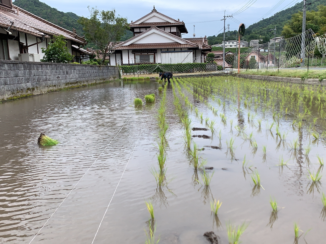 �c�A���͑�����A�ǂ��܂ł���