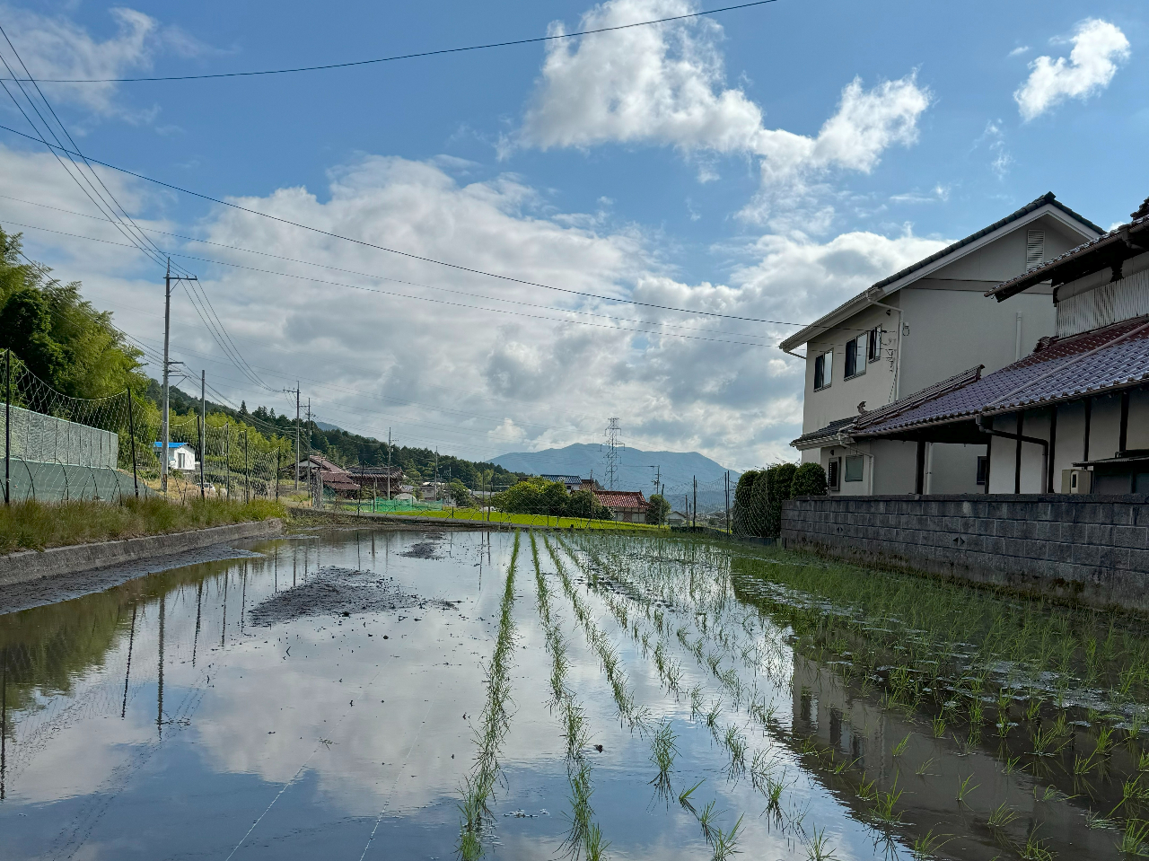 �����΁A�c��ڂ�����ʂ���