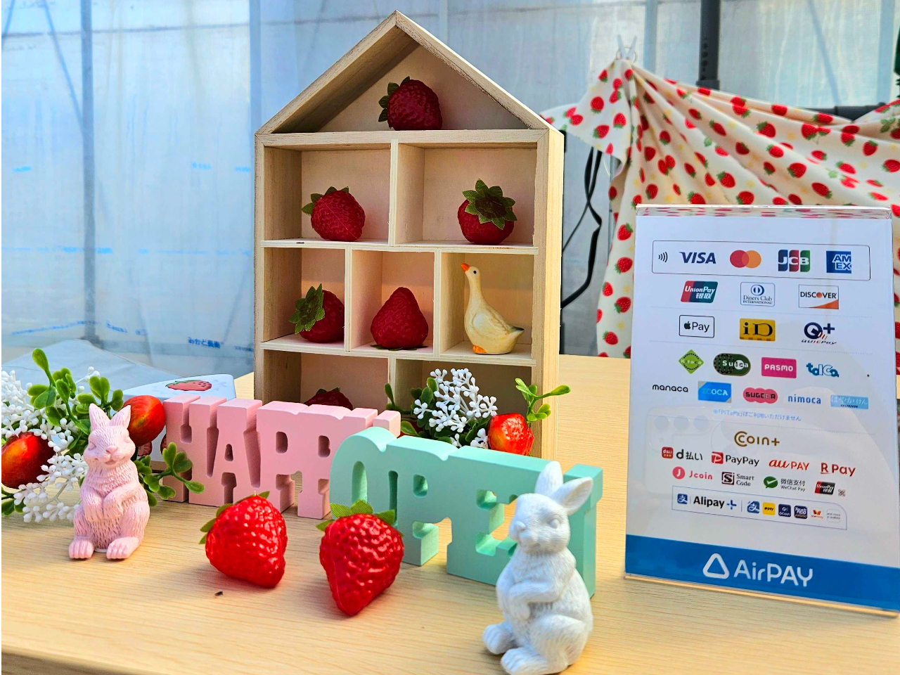 �L���b�V�����X�Ή��I