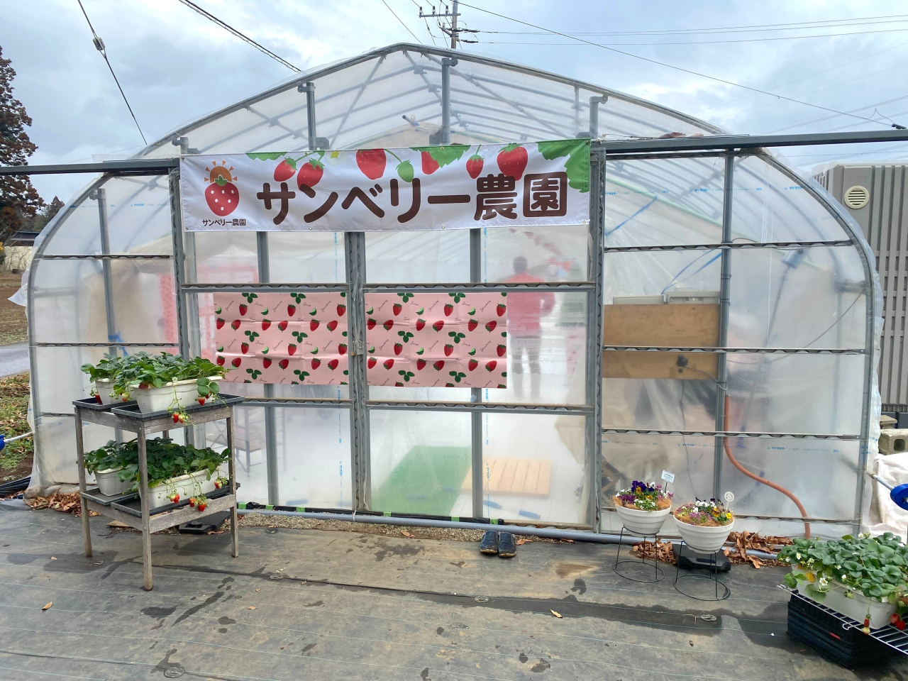外観です！