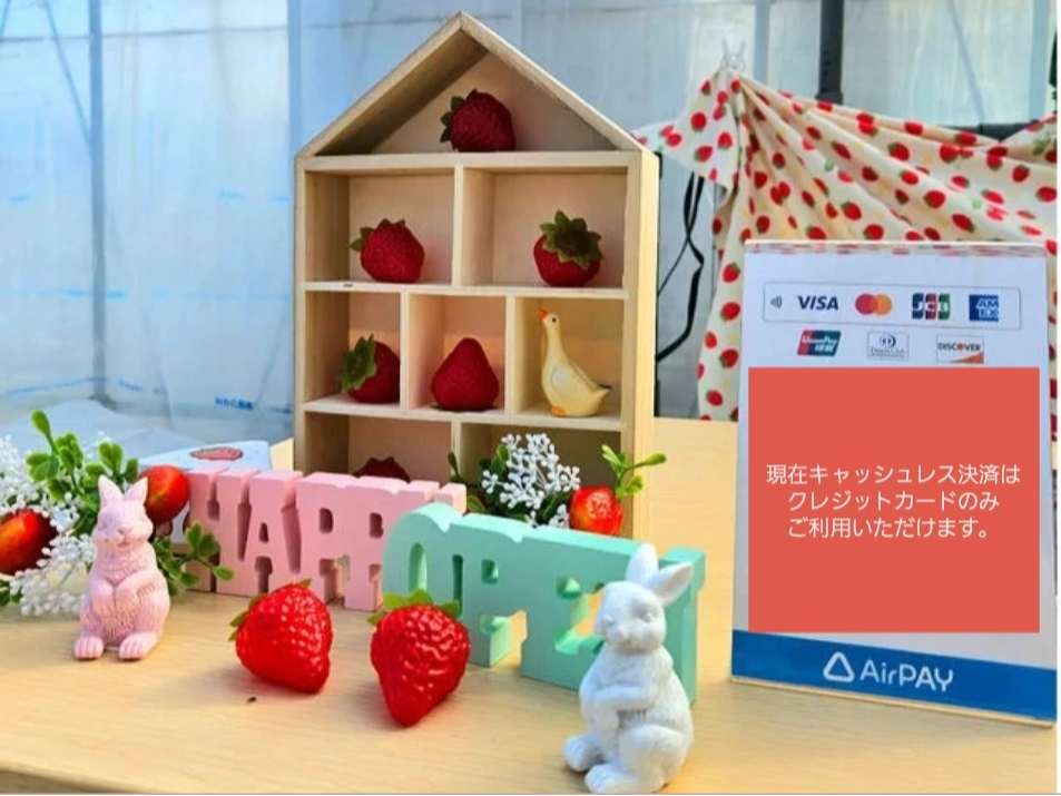 ���n���ςł́A�����ƃN���W�b�g�J�[�h�������p���������܂��B