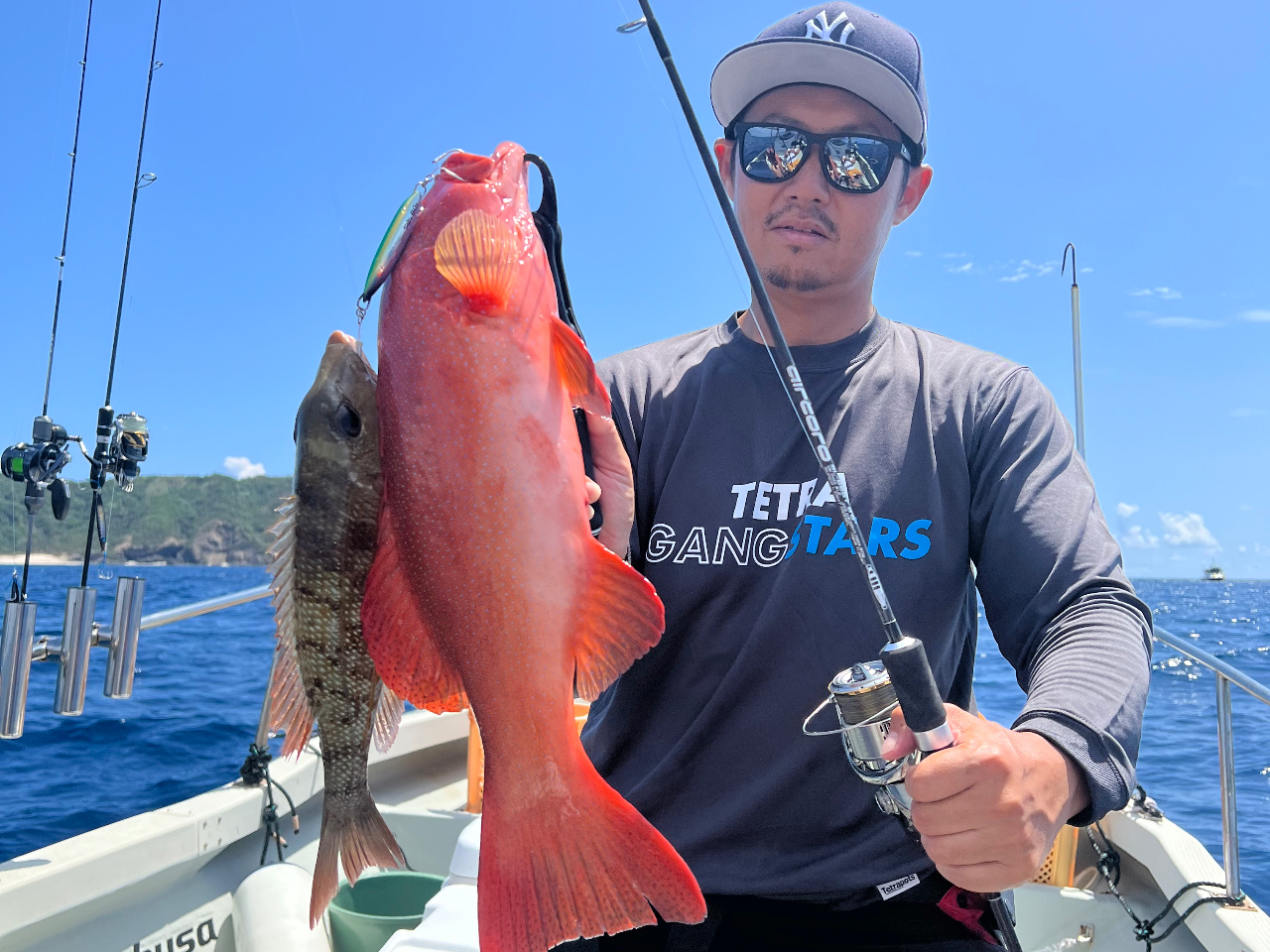 tGtL_CƍAJW̃_uqbgII