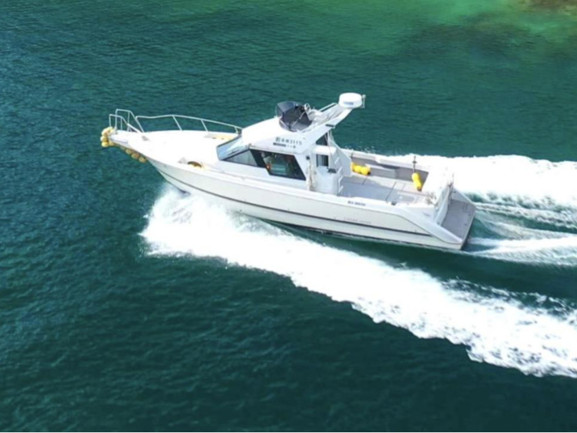 クルーズ船「真光」YAMAHA FR34DX