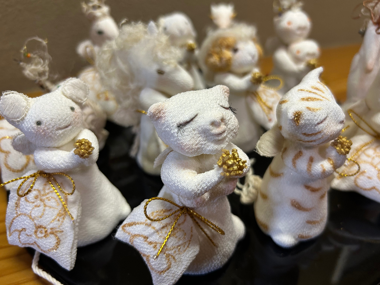 NS花x̓́Aex񂨋F肵Ă܂B̎悩物LL``I܂Ă܂B