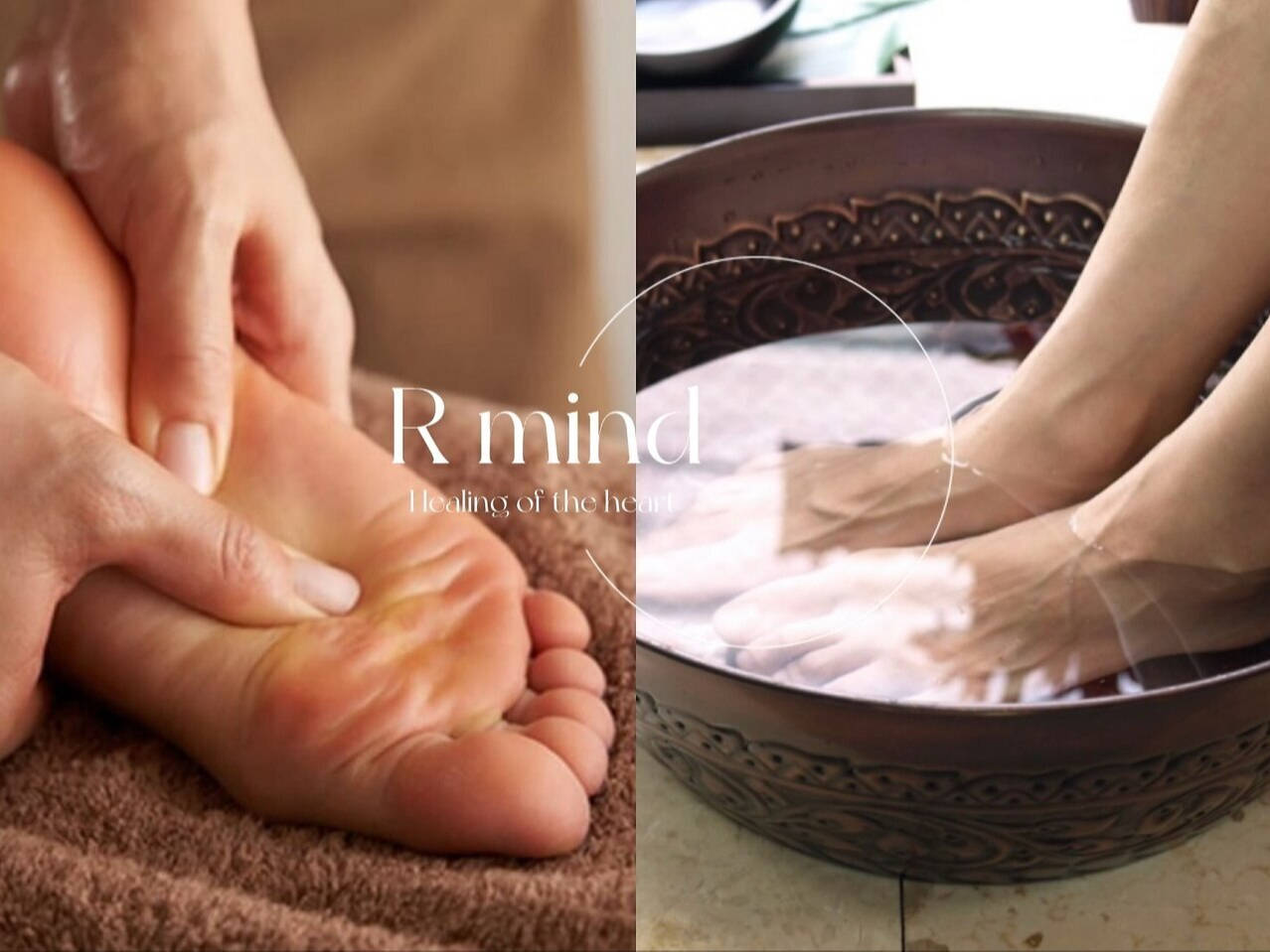 Rmind �V�_�X�̎ʐ^1