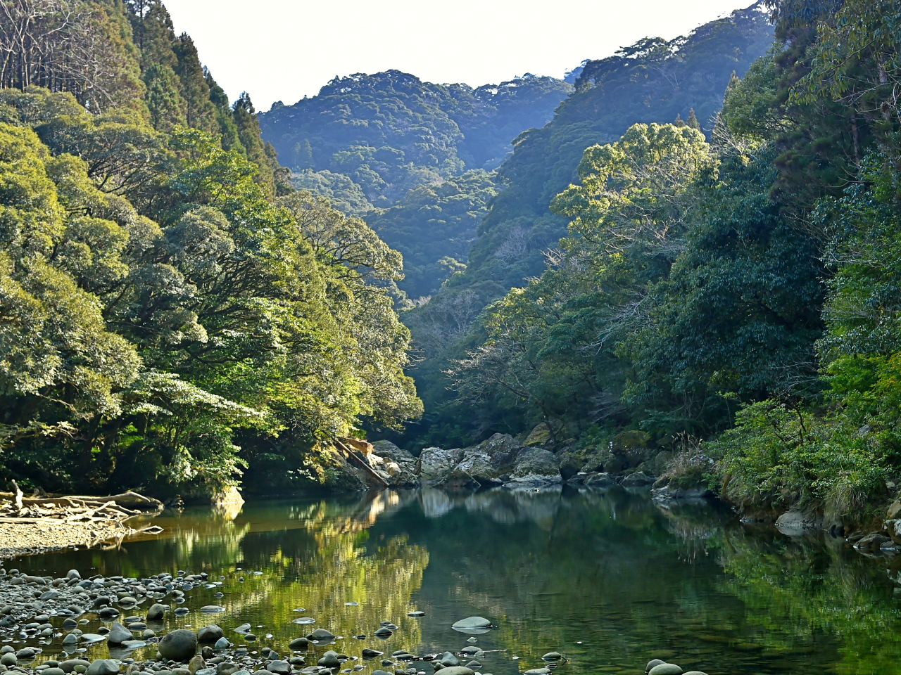 ]ckJ̐_IȔɐGAvoɎc`