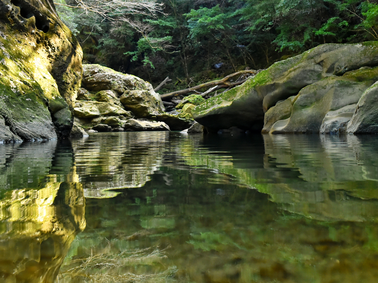 ���]�c�k�J�̑s��Ȏ��R���F�l�����҂����Ă���܂��I