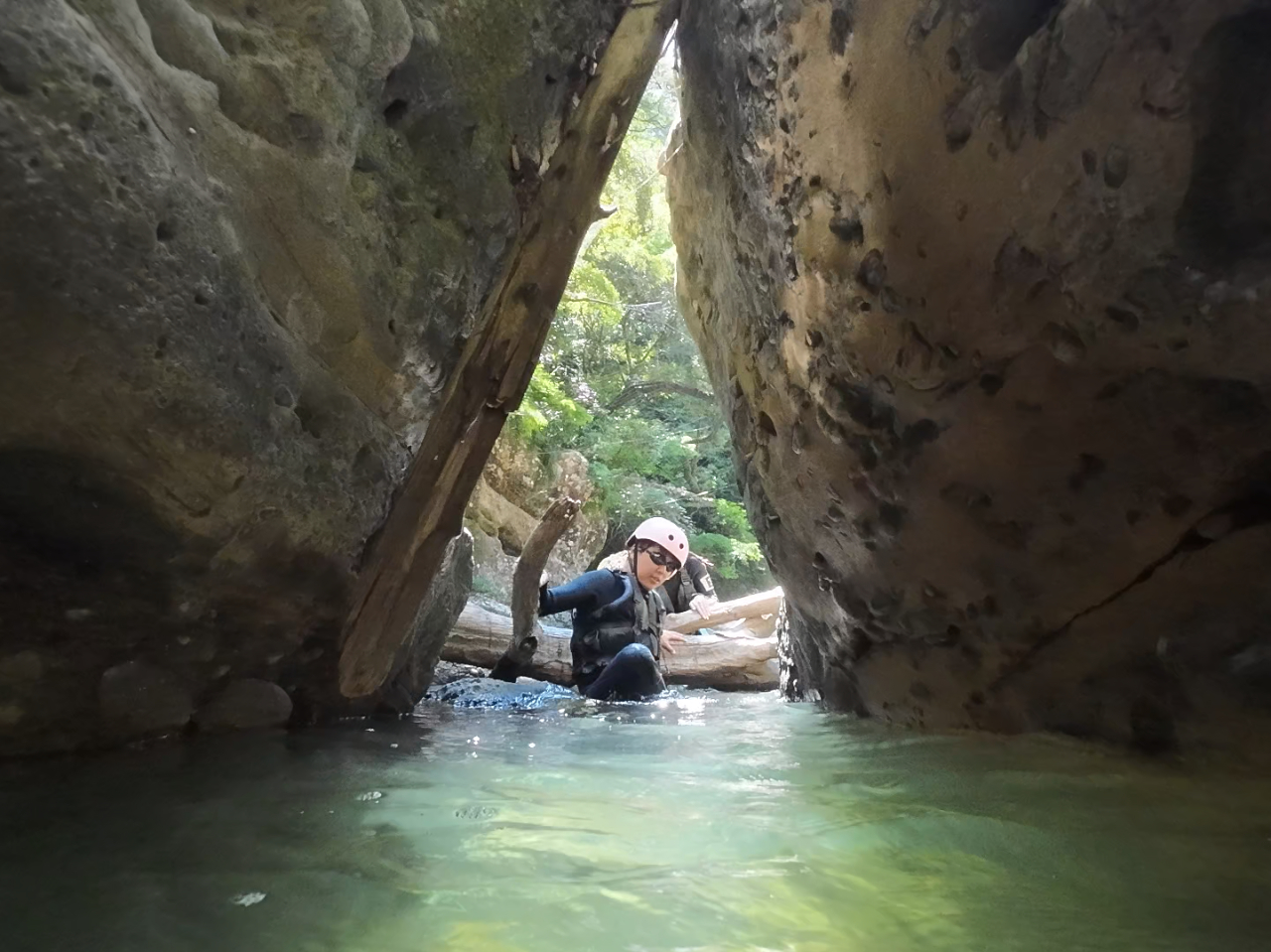 �`���͑�w���̓������I