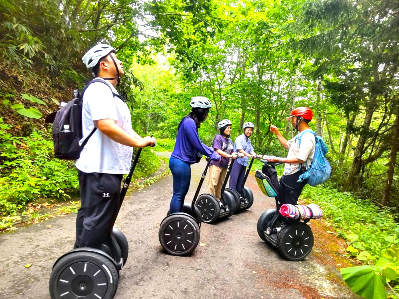 ガイド付きでより一層楽しめる