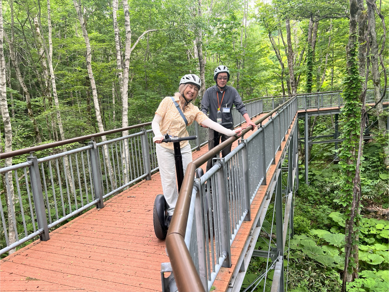 展望デッキで森の中を散策