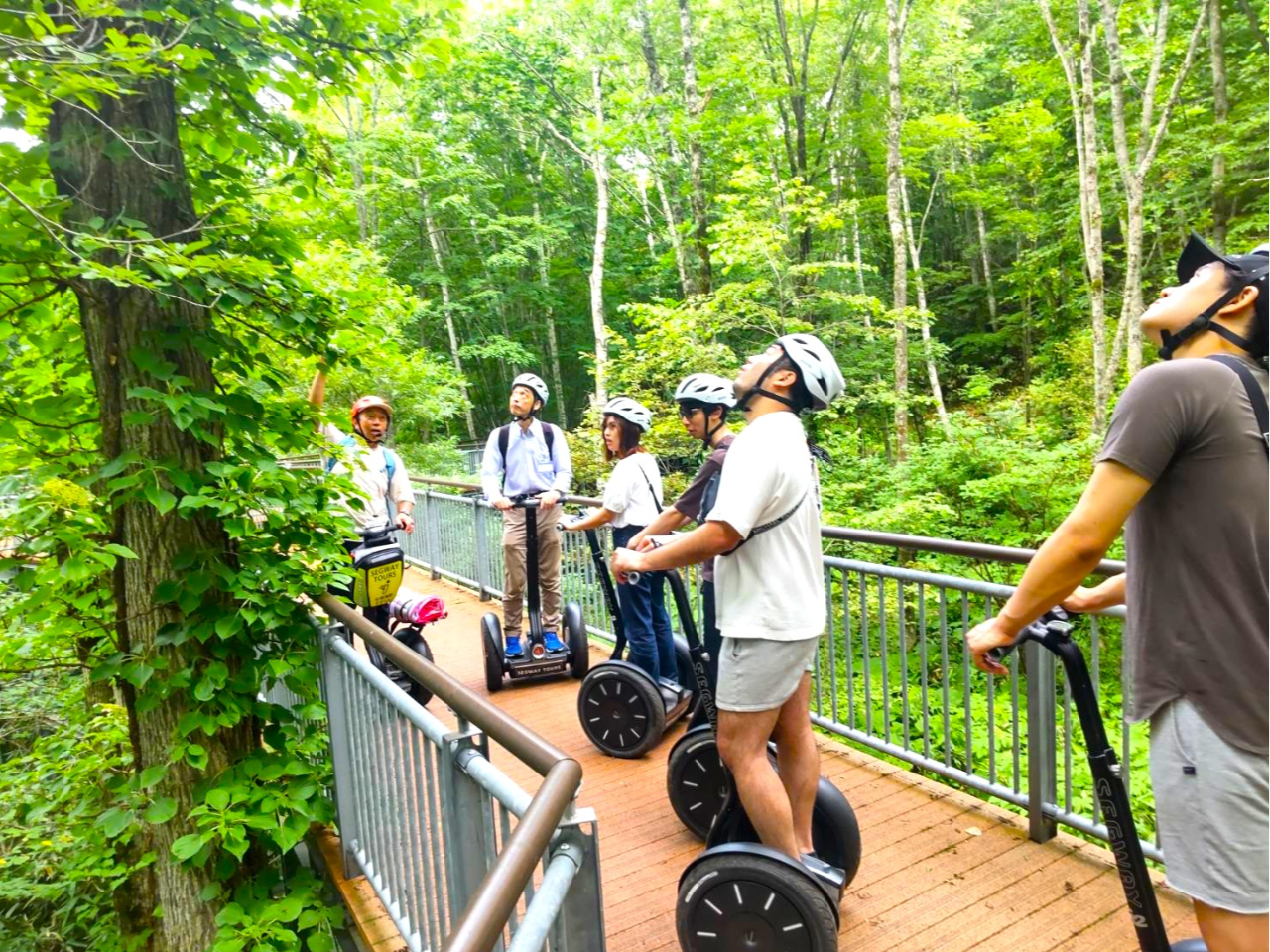 見上げた先に野生動物を発見!