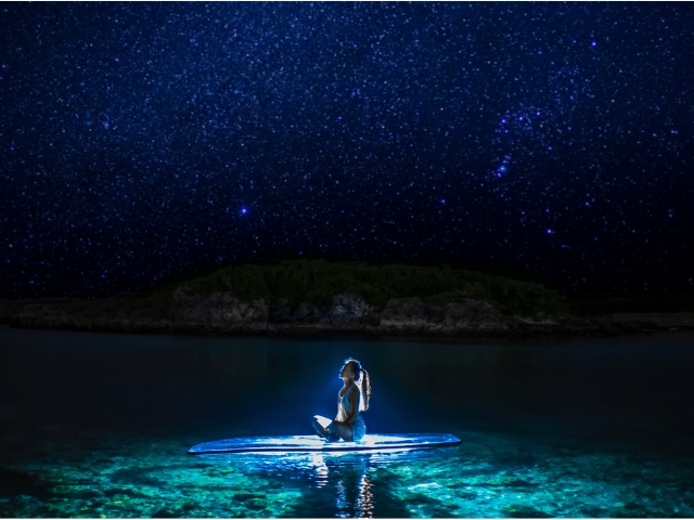 さあ、流れ星をみつけよう!