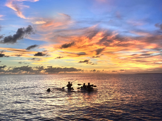 �h���[��/�J�����B�e�f�[�^���݁B�[�i�̈ꖇ���c���B