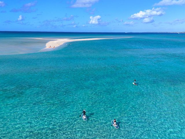 �g���̓��h���j�̕l�ցB