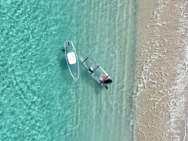 �N���ASUP/�N���A�J���b�N�ŏ㗤�B�����܂Ō����铧���̌��B